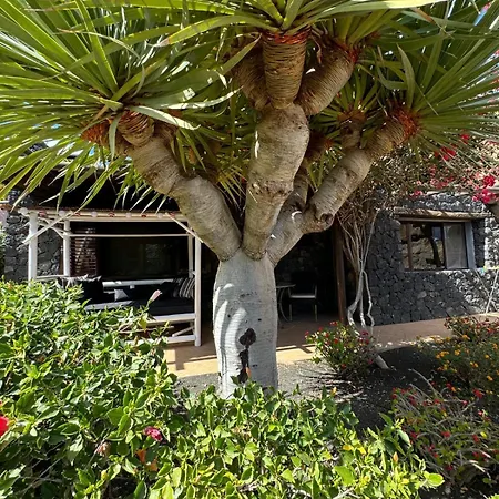 Casa de Férias Castillo Lanzarote Bailey - Luxury - Pet Friendly With Heated Pool *